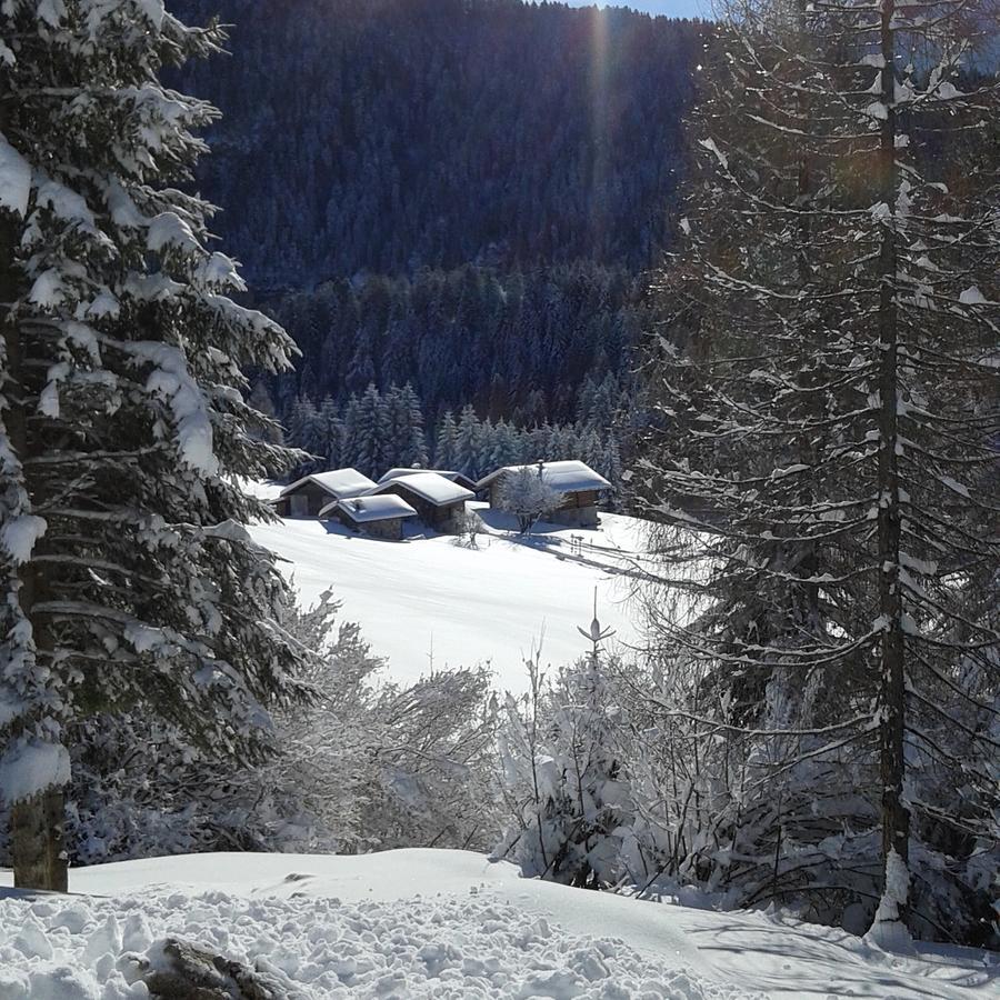 Rifugio Caltena Fiera Di Primiero Esterno foto