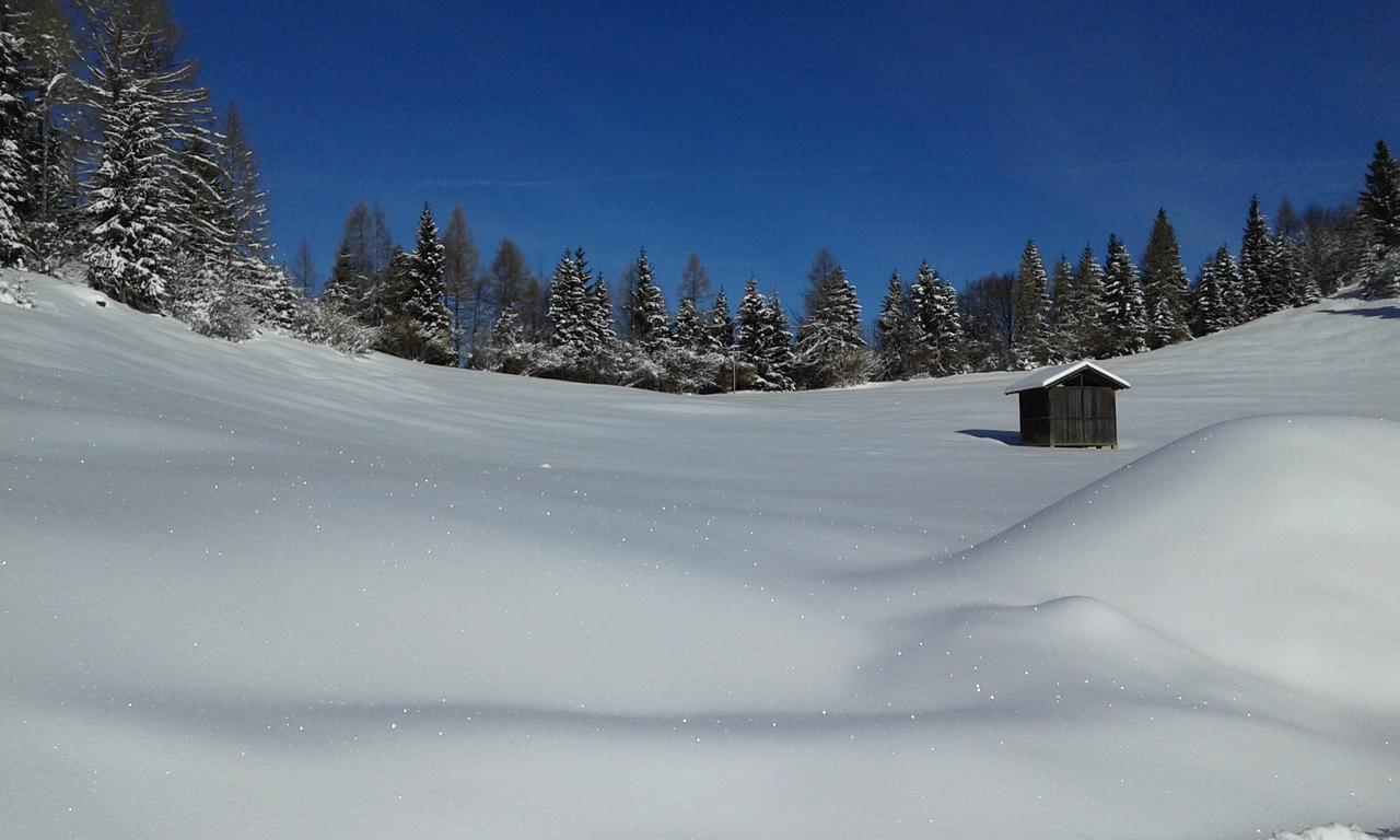 Rifugio Caltena Fiera Di Primiero Esterno foto